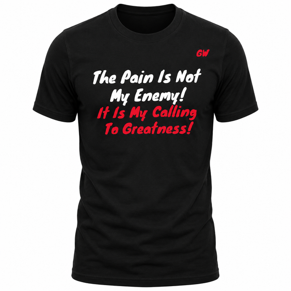 T-Shirt pain/enemy