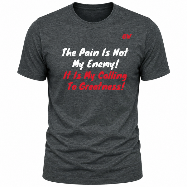 T-Shirt pain/enemy