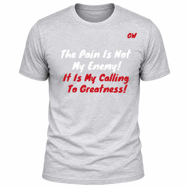 T-Shirt pain/enemy